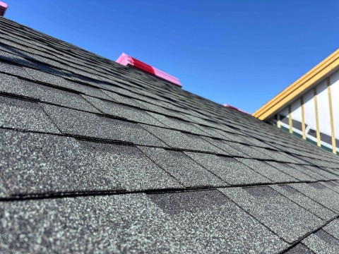 確実にアールとか間接照明（建築化照明）増えております。 猫と暮らす人が増えてる並みに増えております