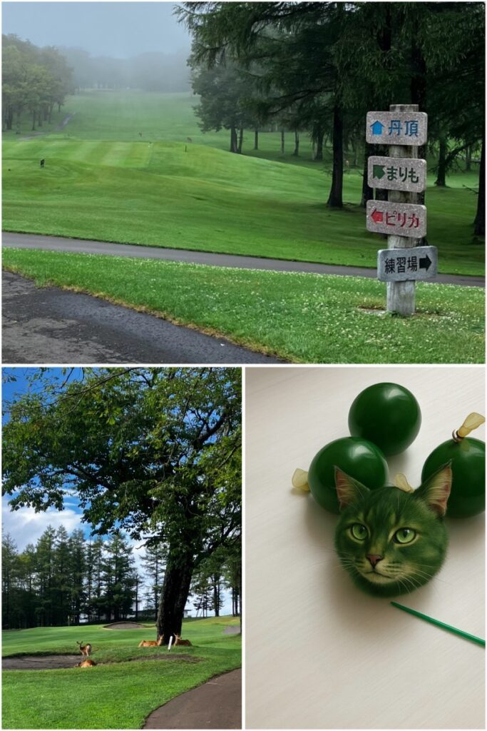 言っても仕方ないけど、言いたくなることありますよね。