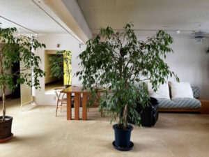 暦の上では春　掘りごたつのある家