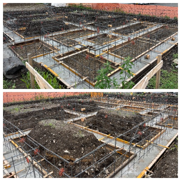 梅干しの日　音更の家