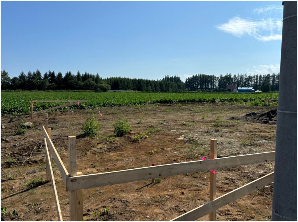 秋と言えば、　音更の家