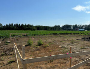 秋と言えば、　音更の家